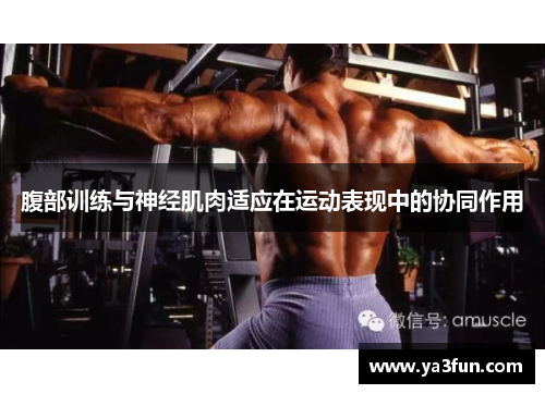 腹部训练与神经肌肉适应在运动表现中的协同作用