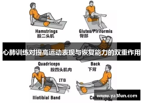 心肺训练对提高运动表现与恢复能力的双重作用